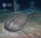 Ze života trilobitů – trilobiti na plátně i na papíře